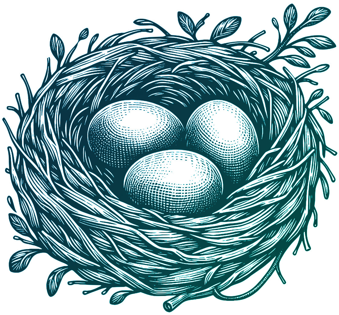 A nest egg